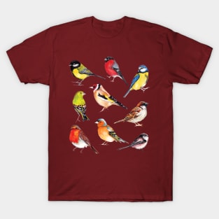 Watercolour Garden Birds Collection T-Shirt